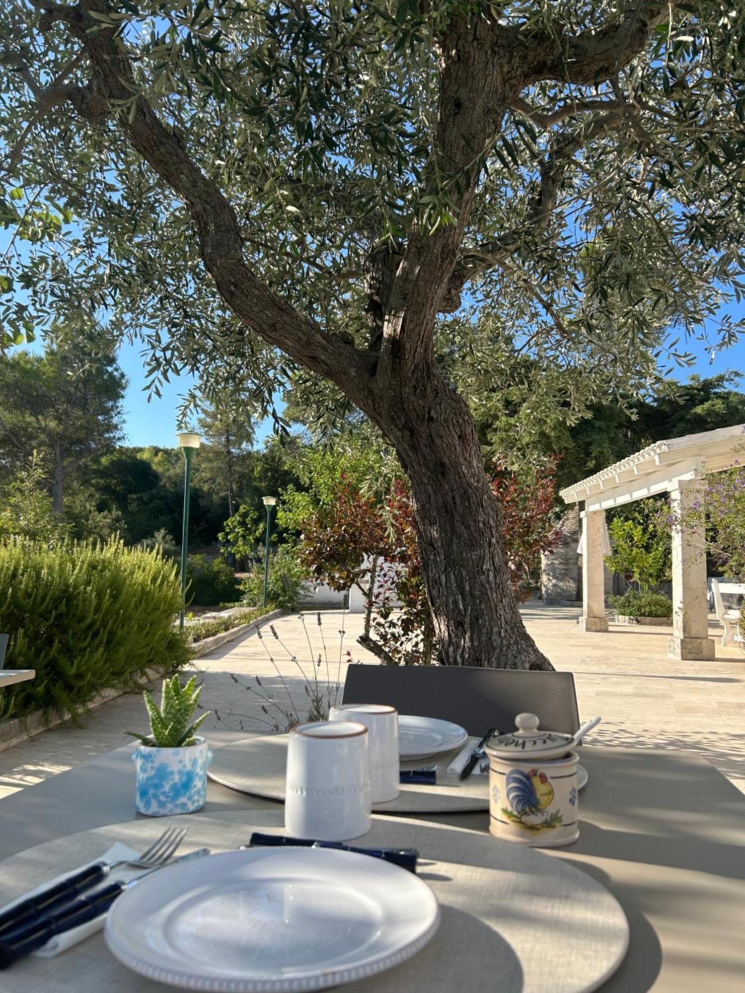 Il Trullo Di Simona Bed & Breakfast Локоротондо Екстериор снимка